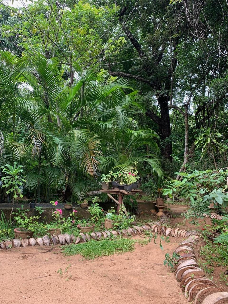 Manju Homestay Sigiriya Exteriér fotografie