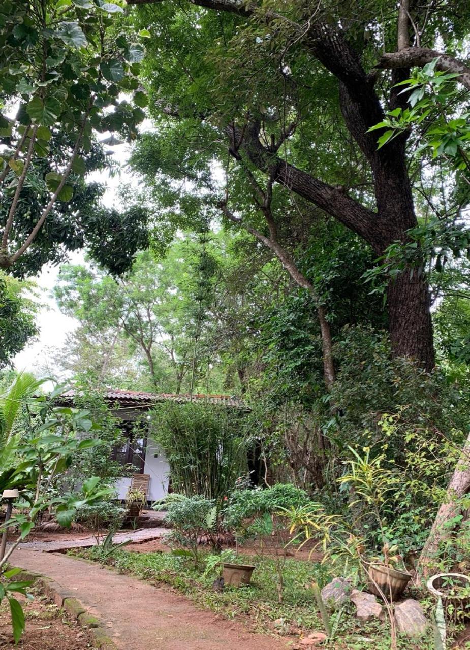 Manju Homestay Sigiriya Exteriér fotografie