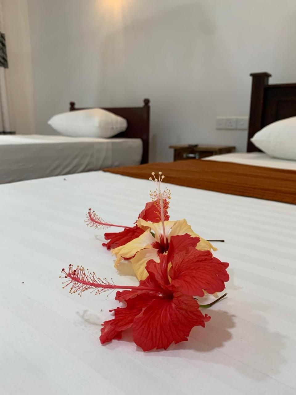 Manju Homestay Sigiriya Exteriér fotografie