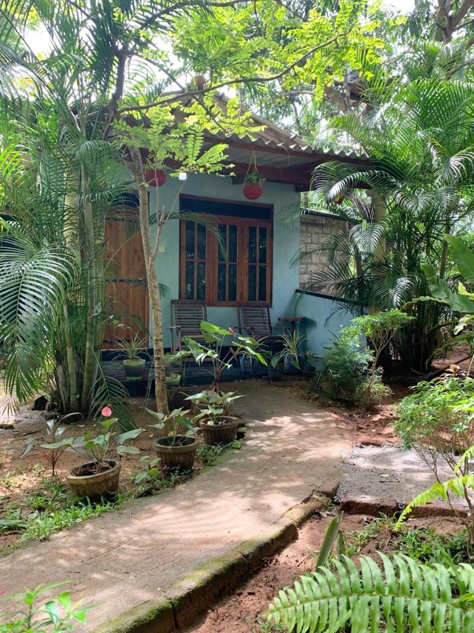Manju Homestay Sigiriya Exteriér fotografie