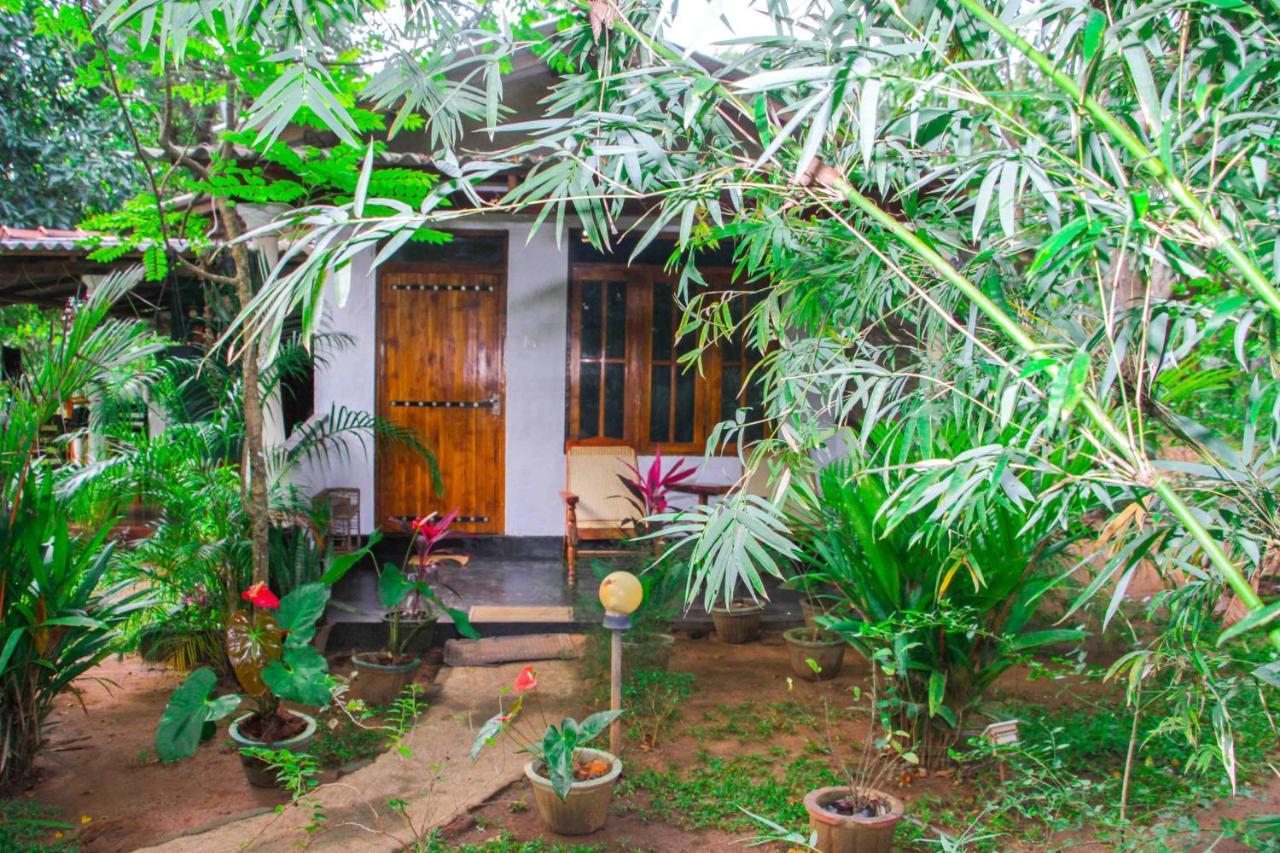 Manju Homestay Sigiriya Exteriér fotografie
