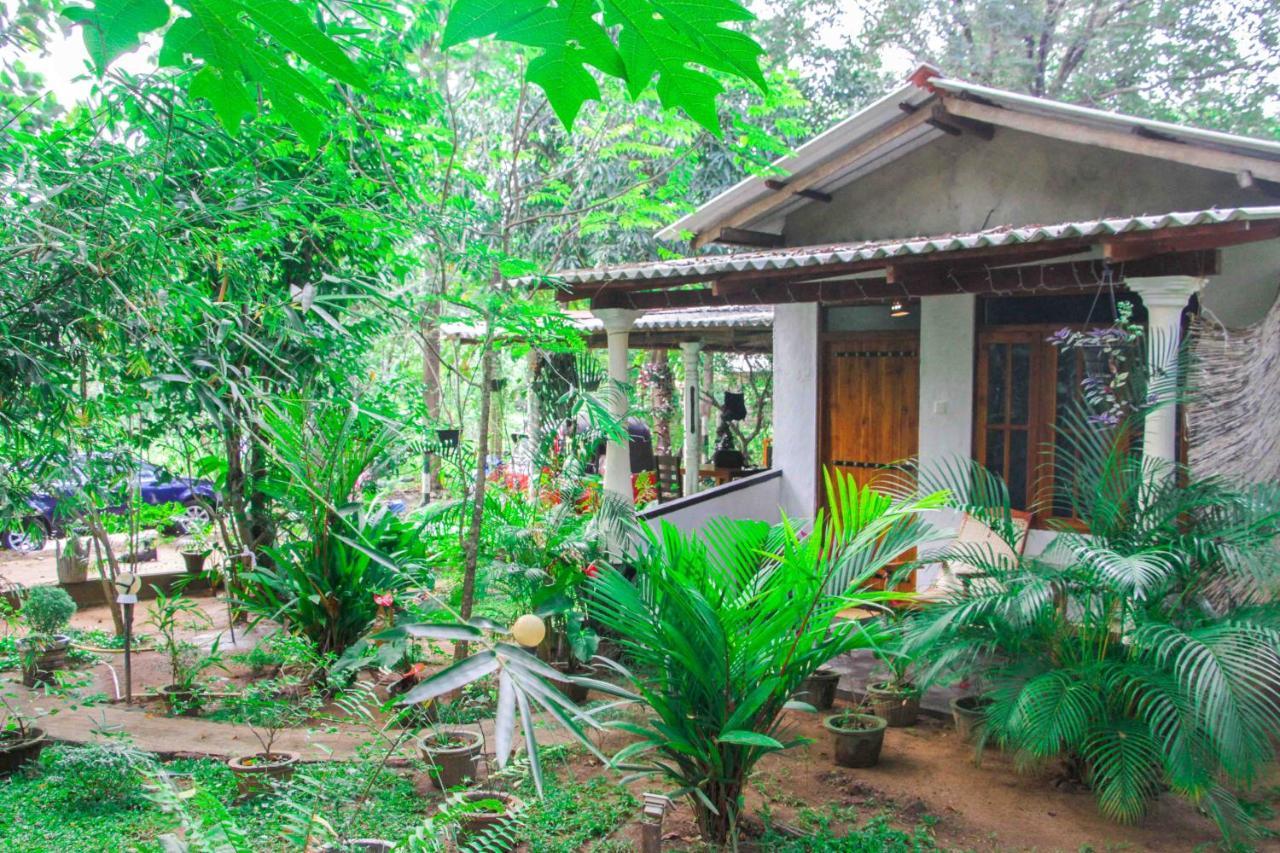 Manju Homestay Sigiriya Exteriér fotografie