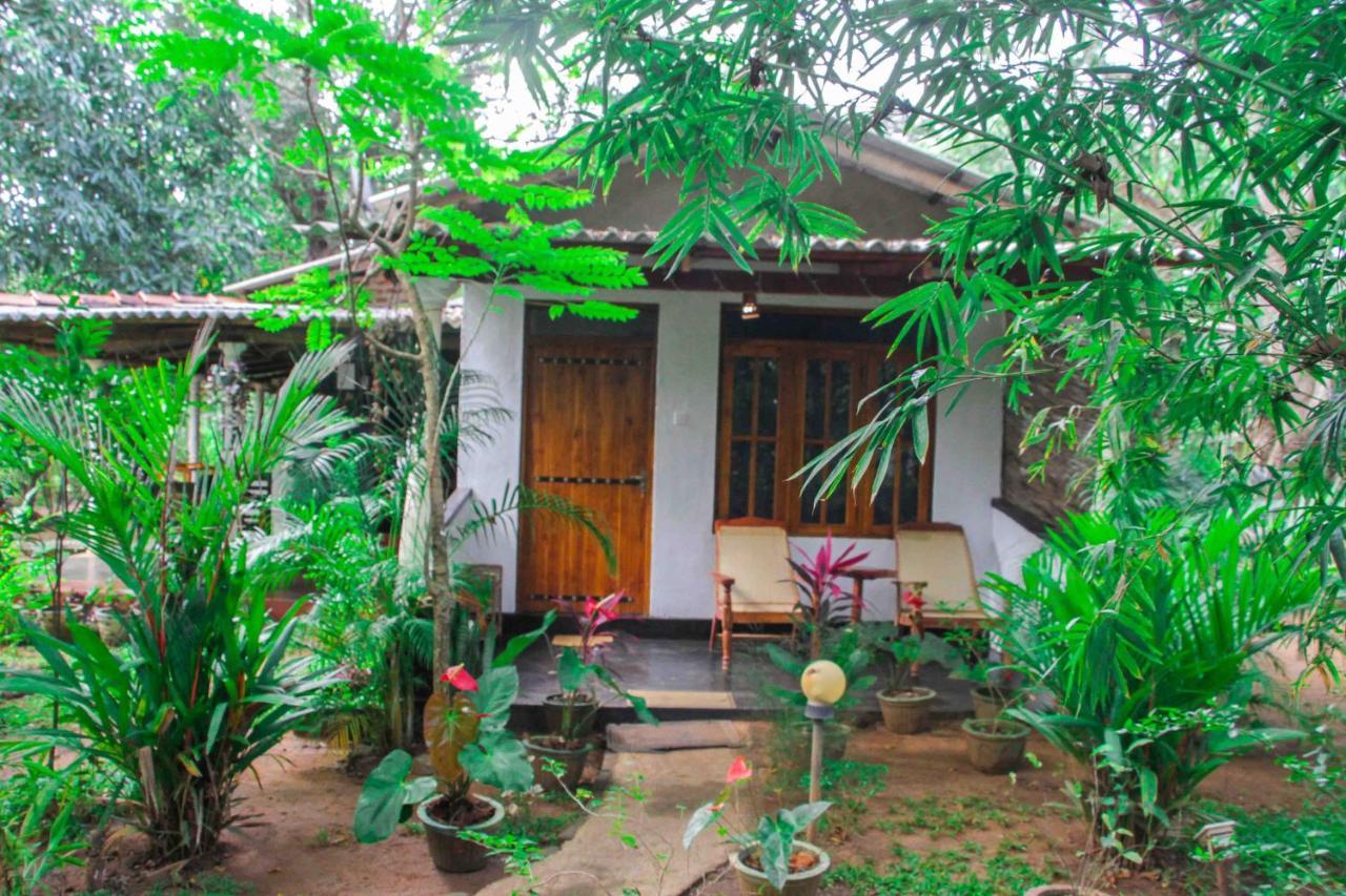 Manju Homestay Sigiriya Exteriér fotografie