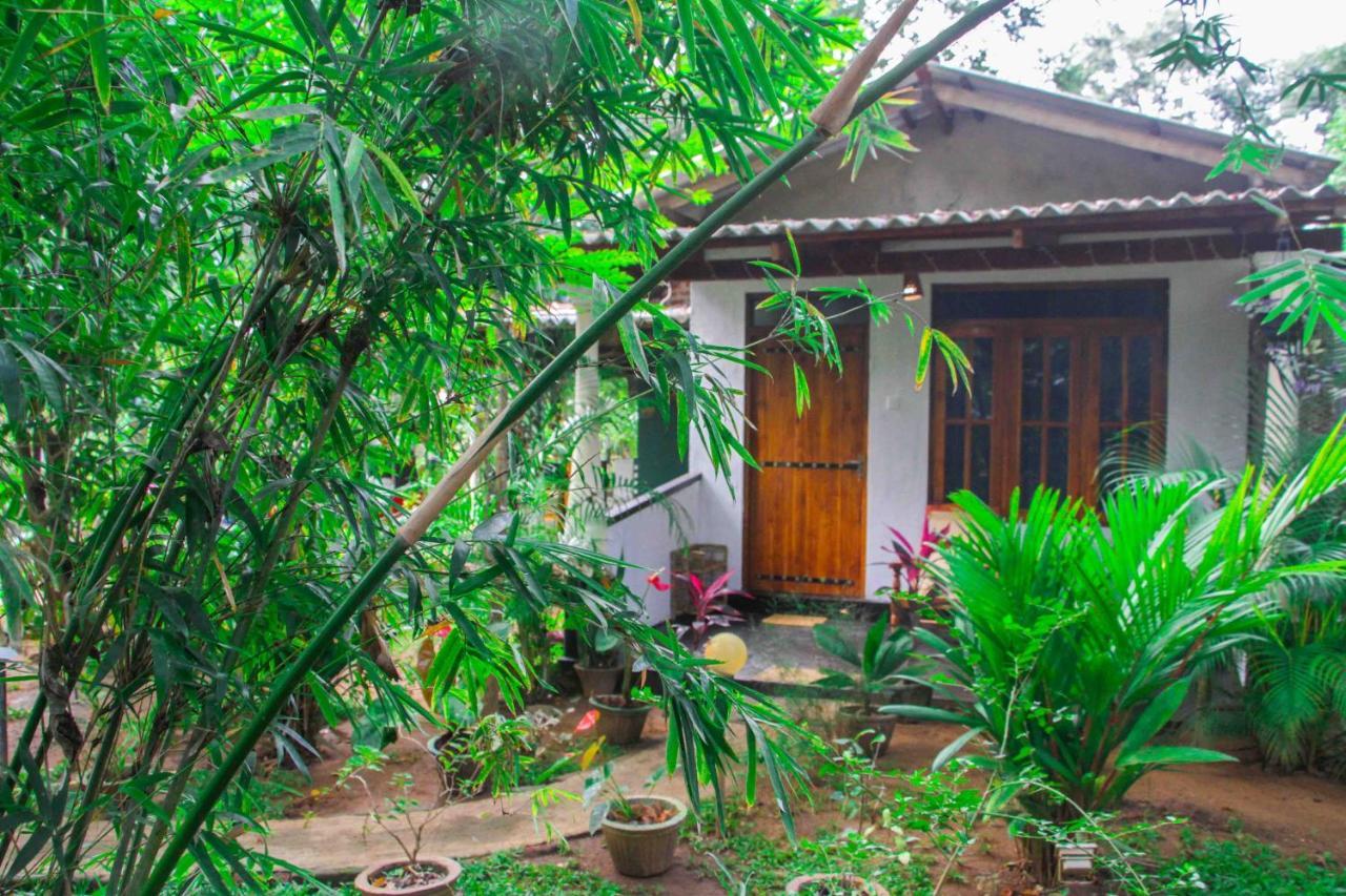 Manju Homestay Sigiriya Exteriér fotografie
